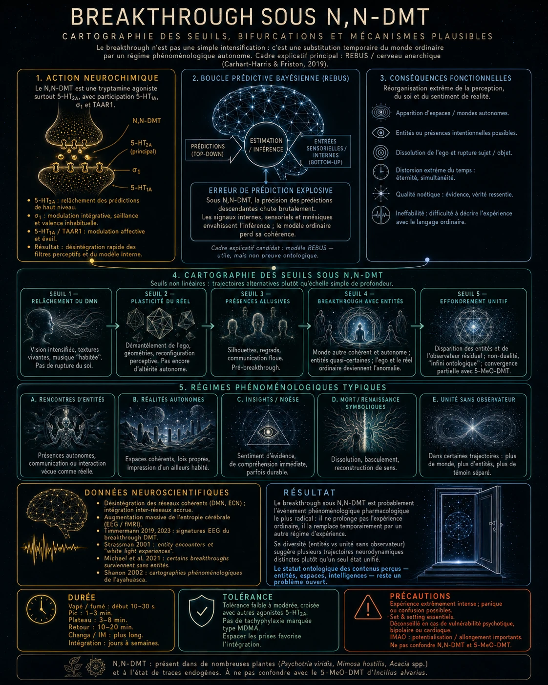 Breakthrough sous N,N-DMT