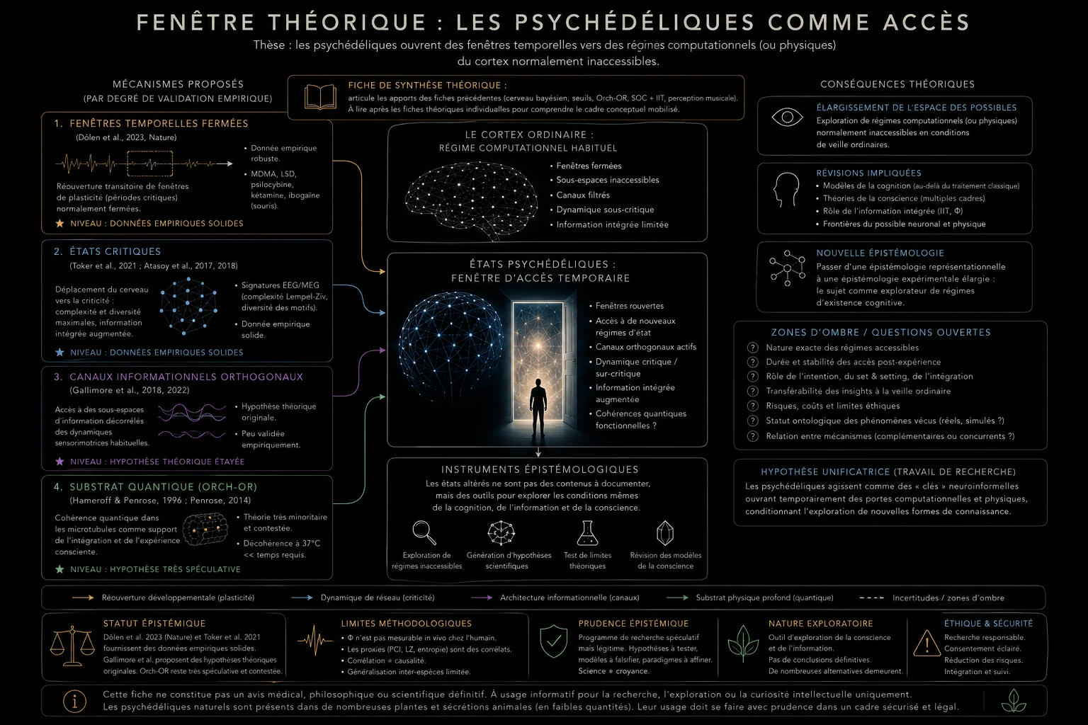 Fenêtre théorique : les psychédéliques comme accès