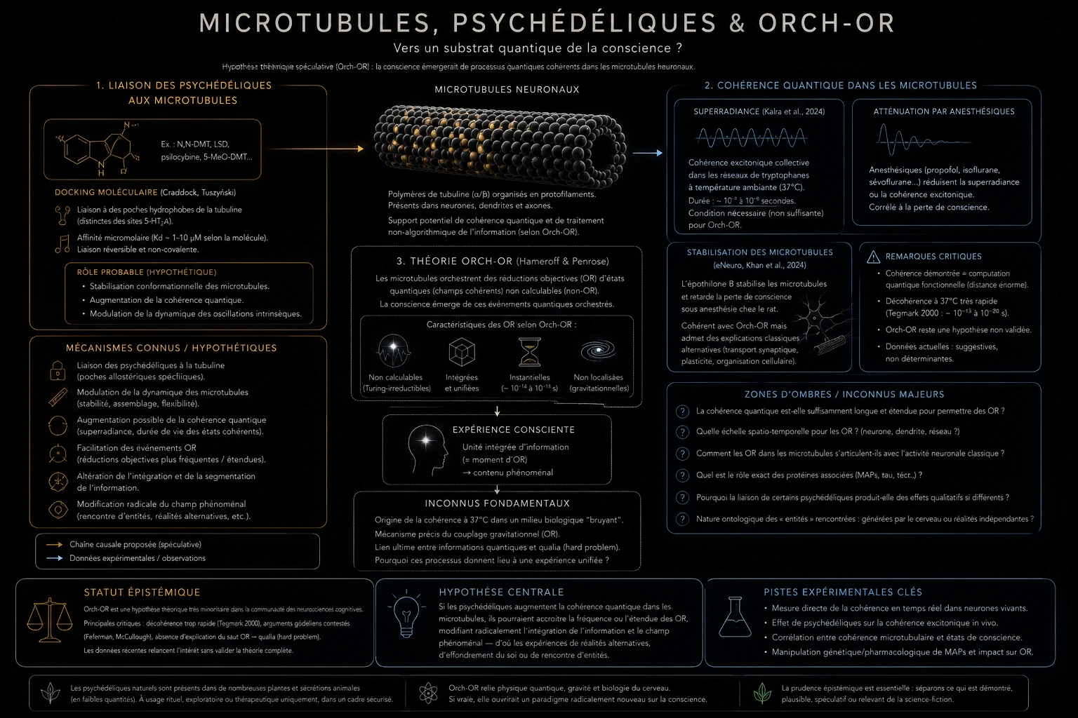 Microtubules, psychédéliques & Orch-OR