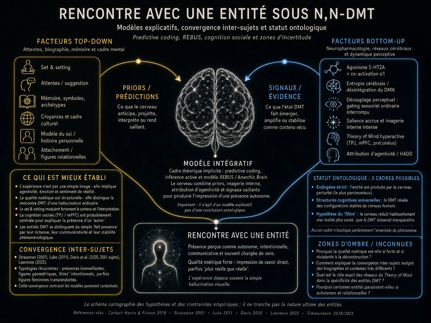 Rencontre avec une entité sous N,N-DMT